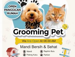 Groming Pet, Mandi Bersih Hewan Peliharaan Anda